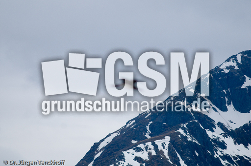 Sterntaucher (17 von 20).jpg